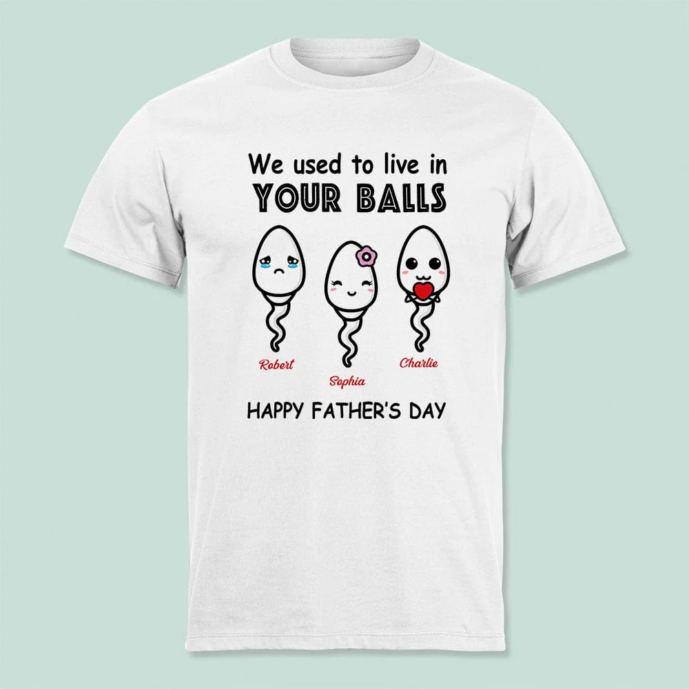 We Used To Live In Your Balls Family Shirt N369 888843