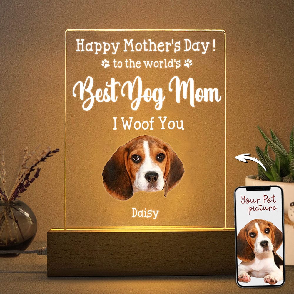 Custom Photo Face Cutout Acrylic Plaque With LED Night Light K228 888981