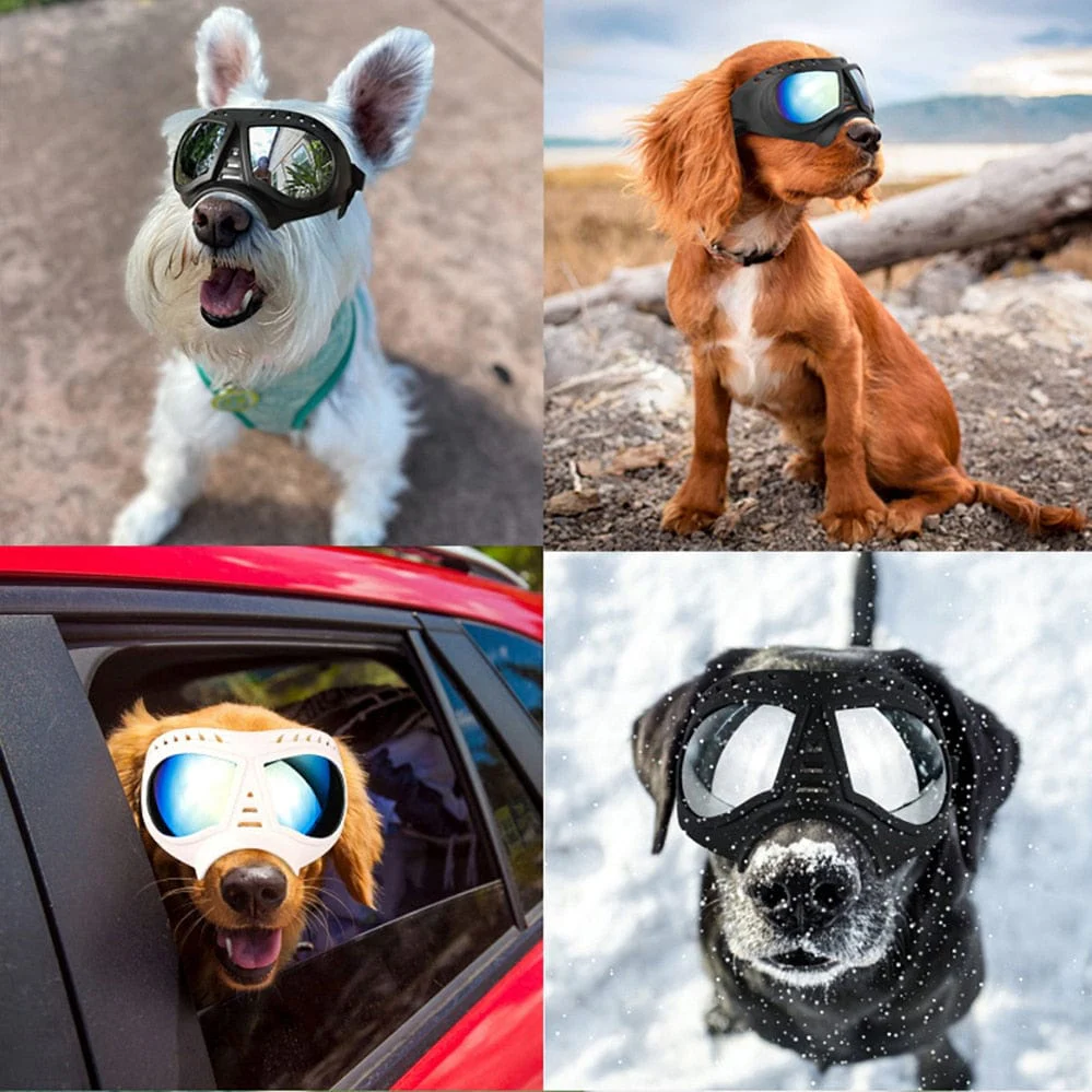 Dog UV Protection Windproof Goggles - Image 8