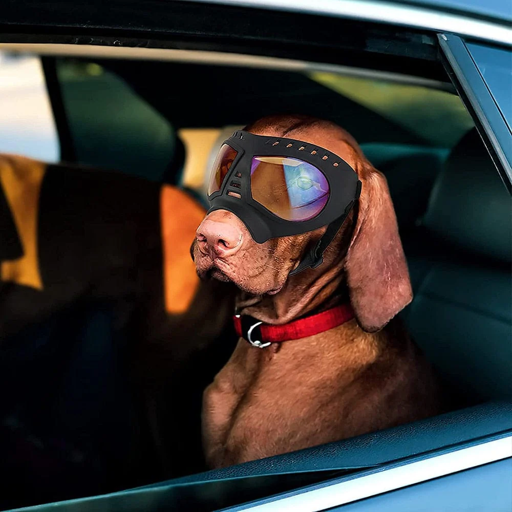 Dog UV Protection Windproof Goggles - Image 9