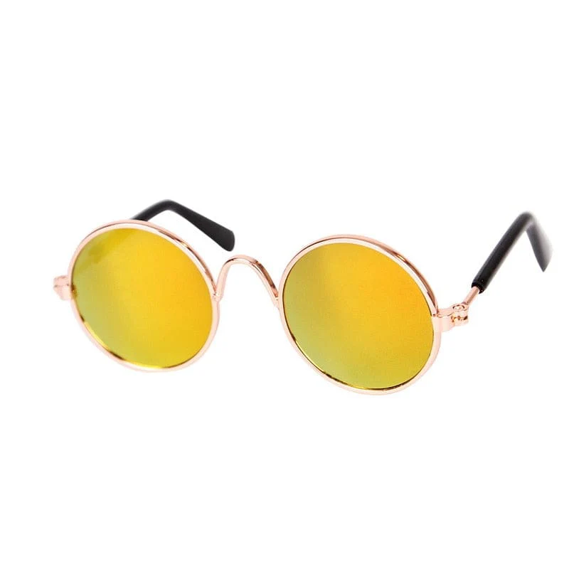 Cool Funny The Kitten Sunglasses - Image 14