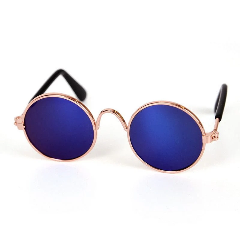 Cool Funny The Kitten Sunglasses - Image 15
