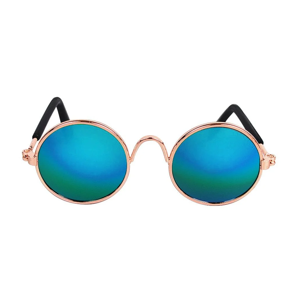 Cool Funny The Kitten Sunglasses - Image 24