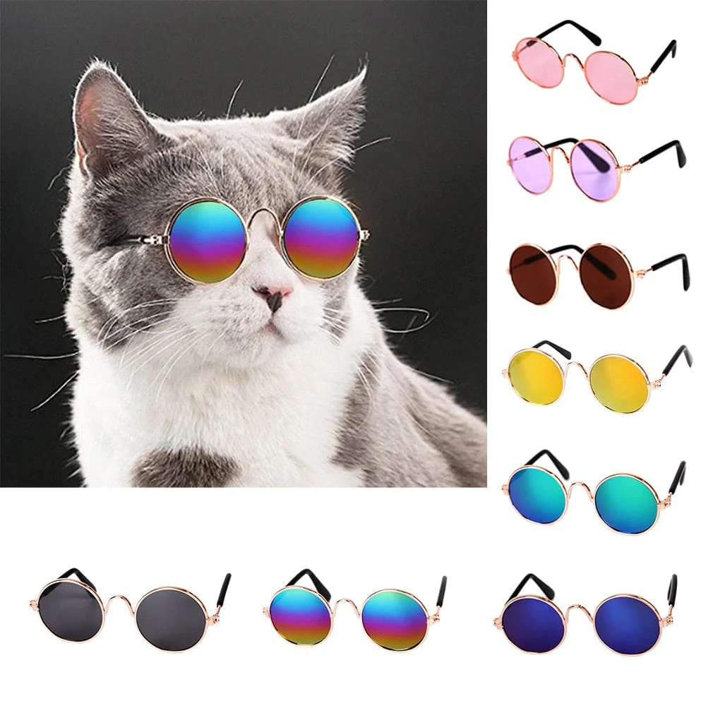 Cool Funny The Kitten Sunglasses - Image 27