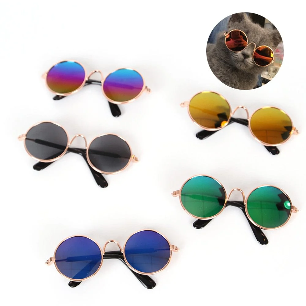 Cool Funny The Kitten Sunglasses - Image 28