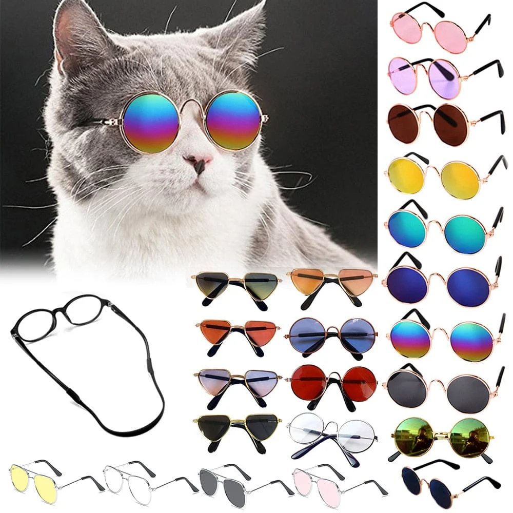 Cool Funny The Kitten Sunglasses - Image 29