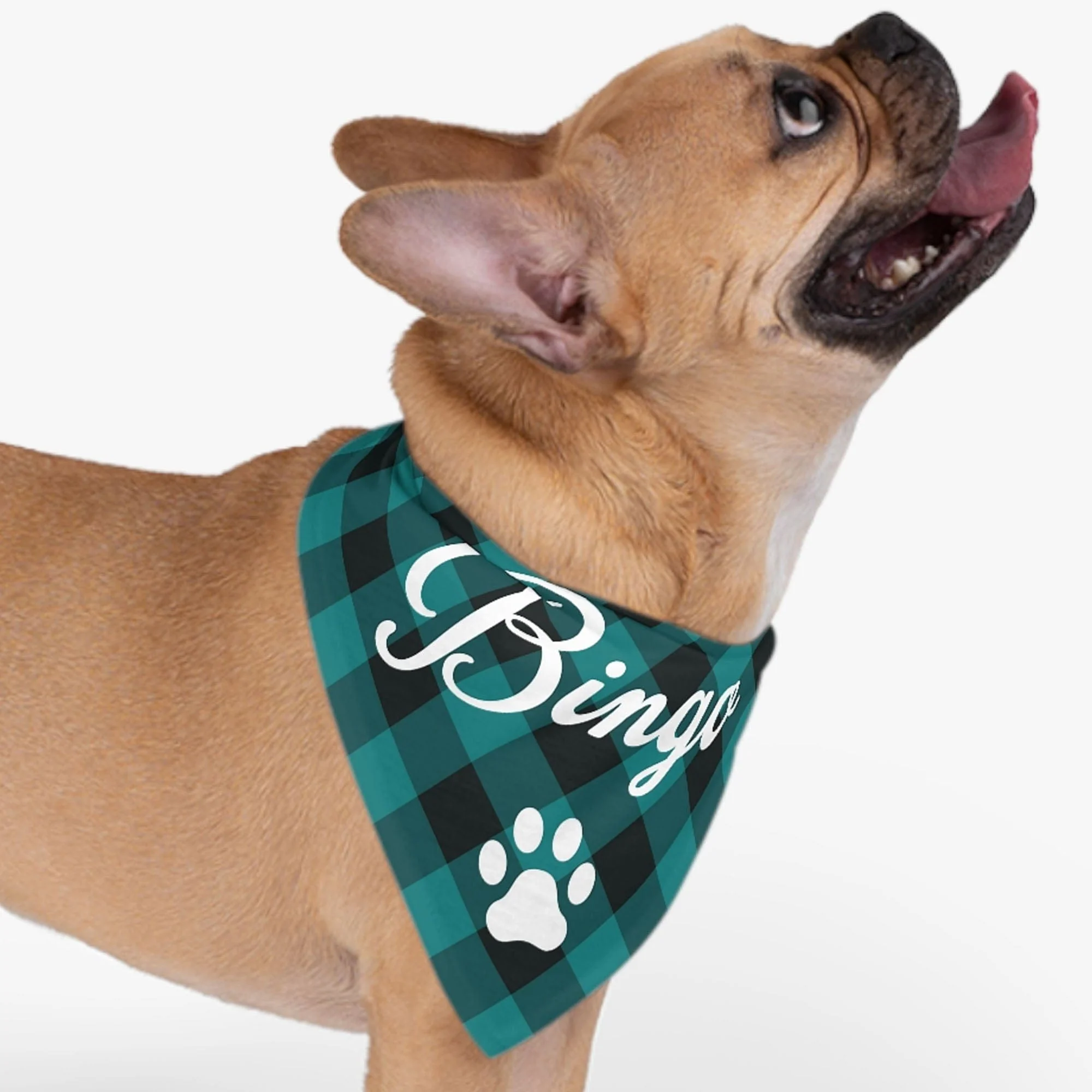 Custom Buffalo Bandana Personalized Dog Cat Pet Bandana C574 - Image 2