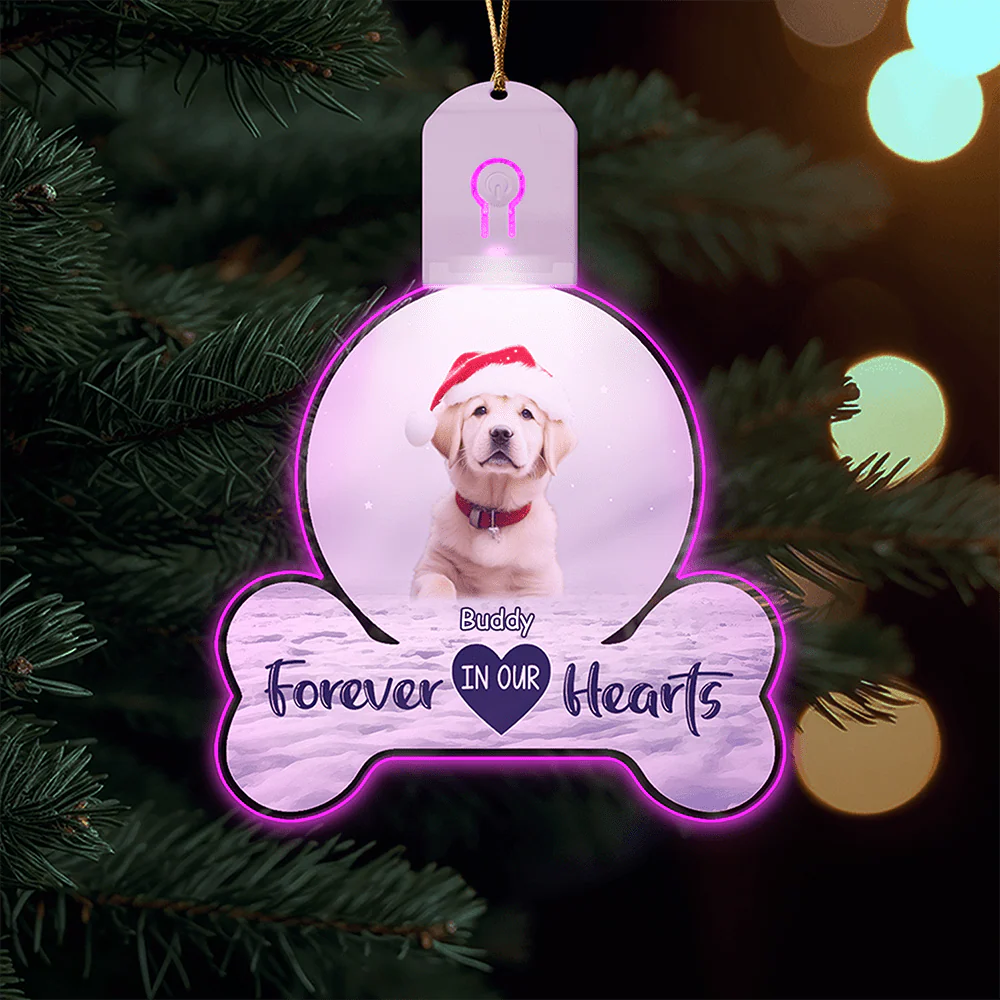 Custom Photo Forever In My Heart Memorial Dog Led Acrylic Ornament HA75 891724