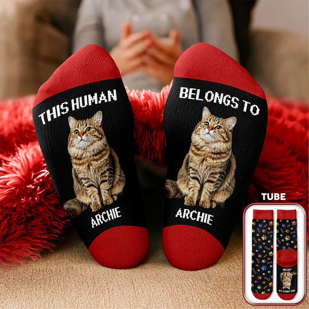 Custom Photo This Human Belongs To Dog Cat Crew Socks HA75 897616 - Image 3