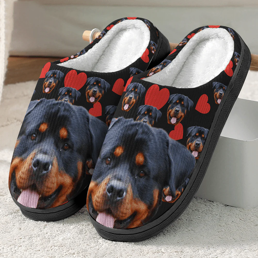 Custom Plush Slippers Dog Cat Photos N369 54298 HN590
