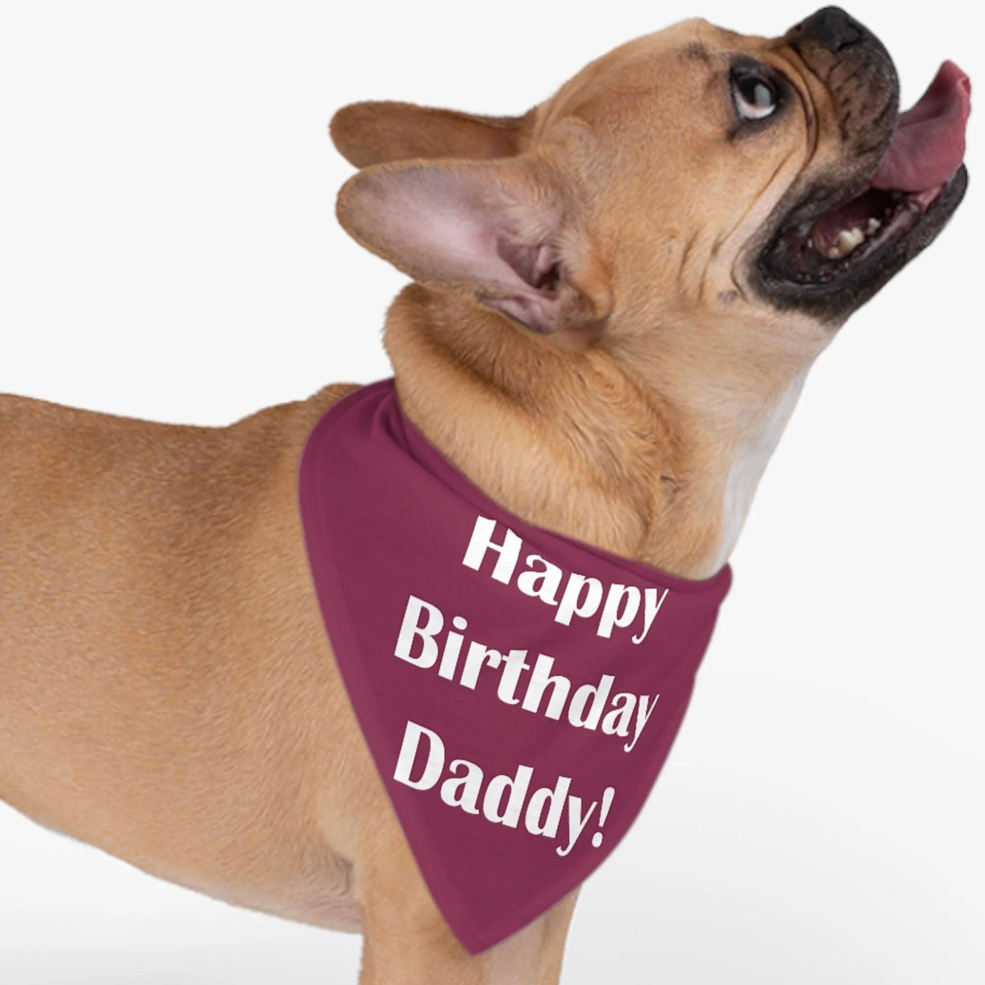 Custom Text Bandana Personalized Dog Cat Pet Bandana C576 - Image 2