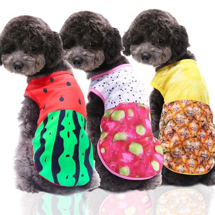 Cute comfortable puppy clothes - Image 16