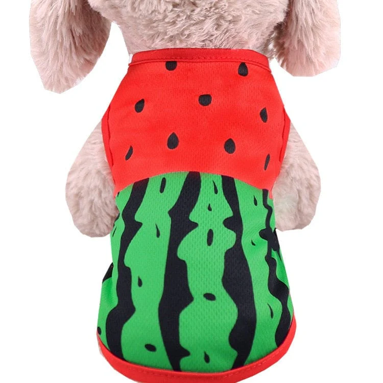 Cute comfortable puppy clothes - Image 7