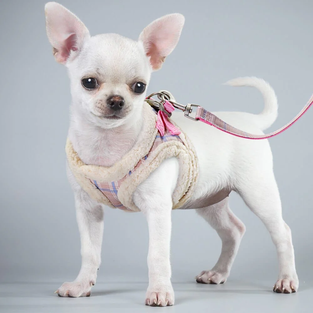 Cute Pet Cat Soft Padded  Harness Vest - Image 7