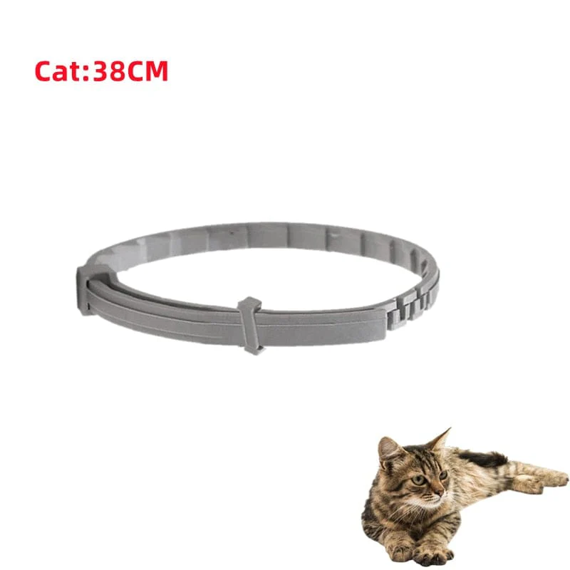 Dog Anti Flea And Ticks Cats Collar Pet 8-Month Protection - Image 10
