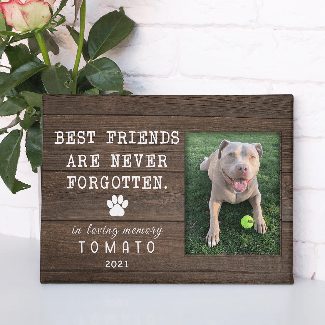 Best Friends Are Never Forgotten Dog Print Canvas DA199 891543 - Image 4