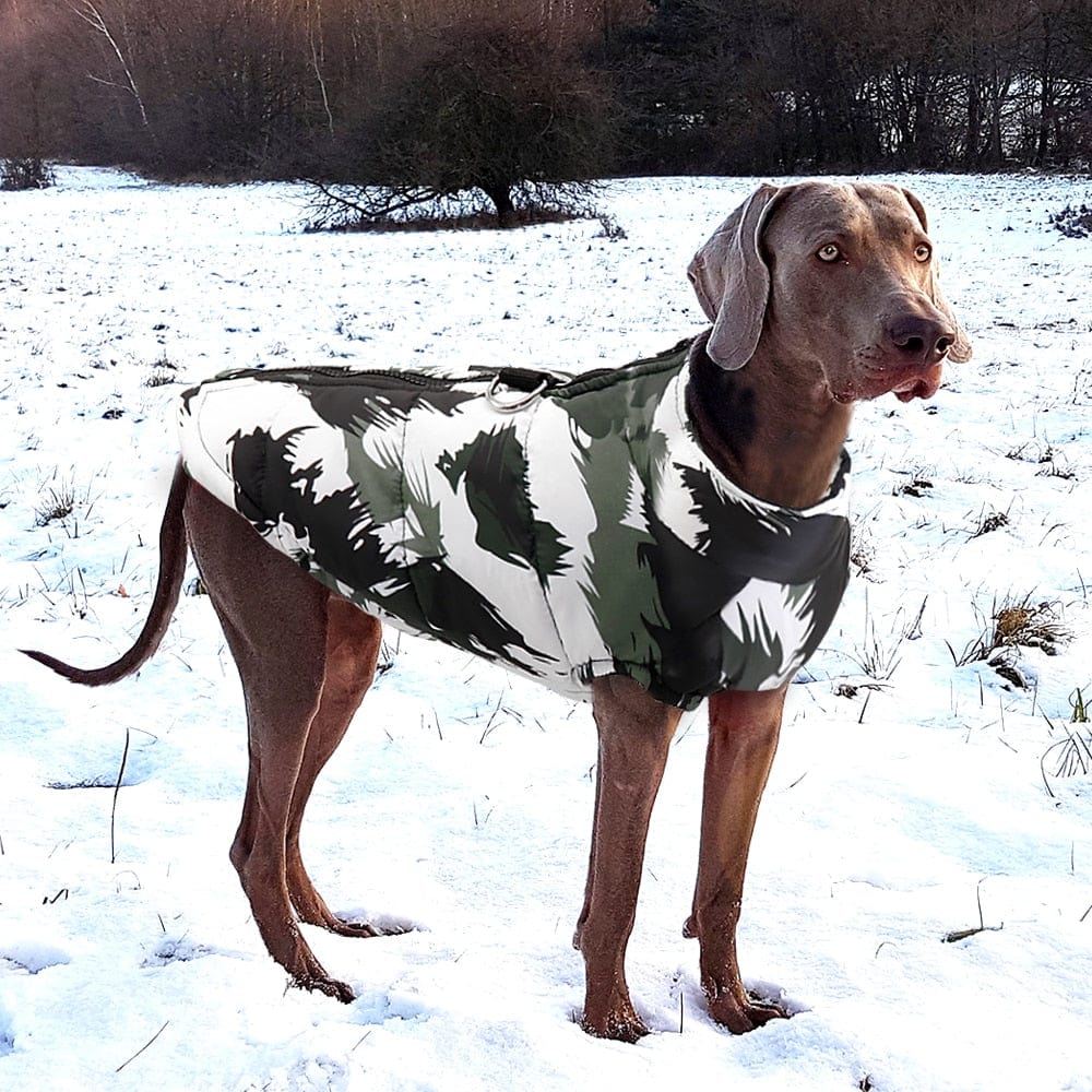 Dog Waterproof Warm Jacket Coat - Image 6