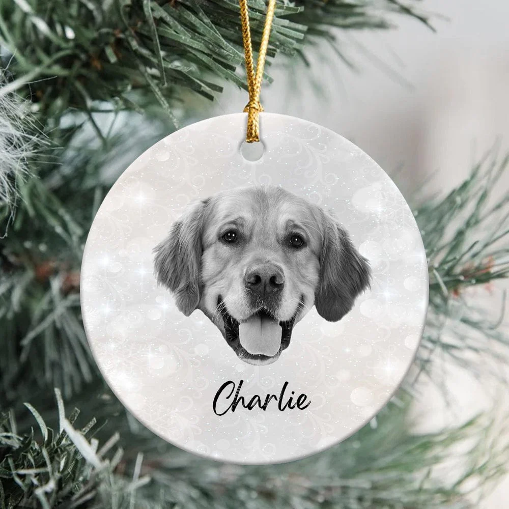 Custom Dog And Cat Photo Christmas Gift Ceramic Ornament N304 889861 - Image 3