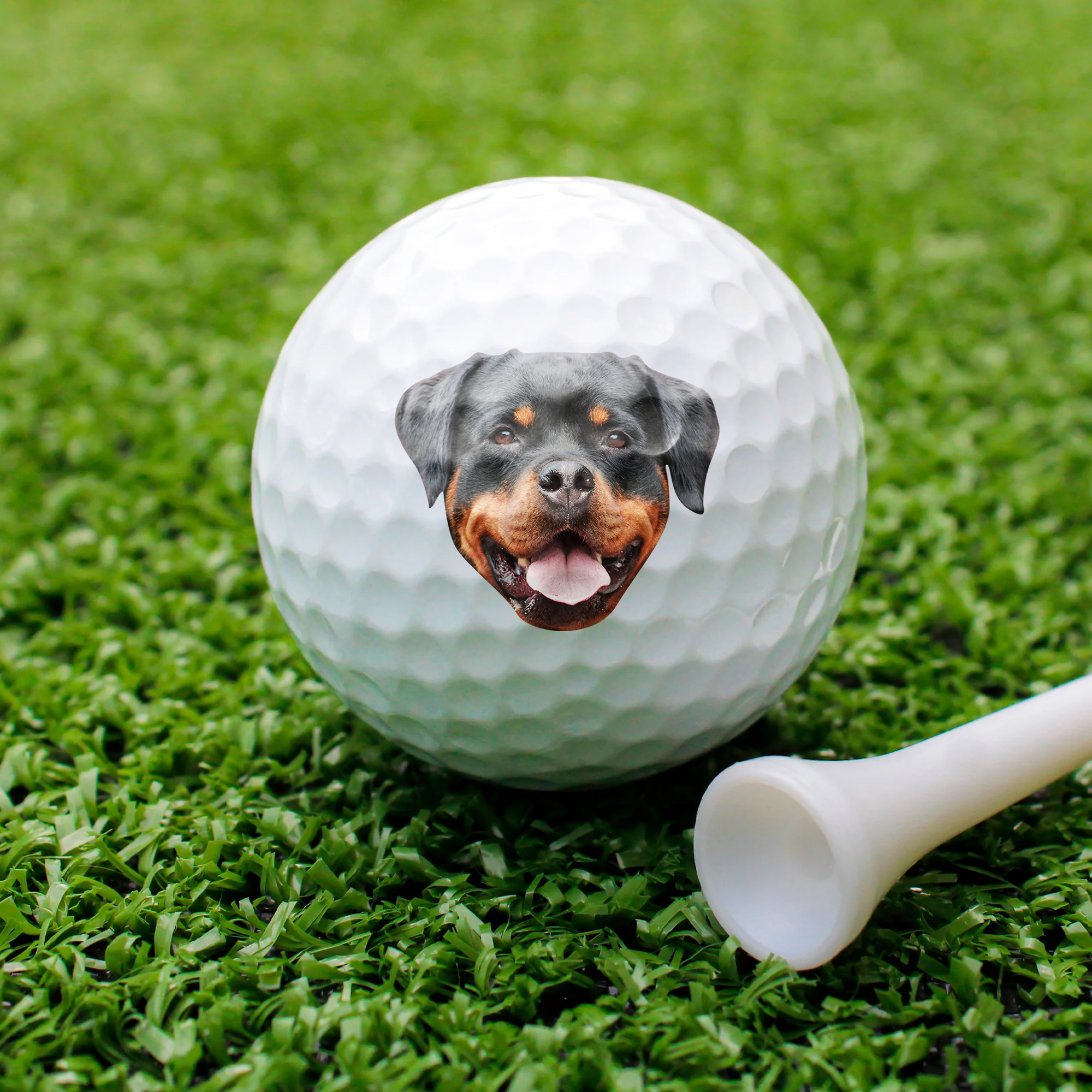 Custom Dog Photo And Name Golf Ball For Golf Lovers TH10 898225 - Image 6