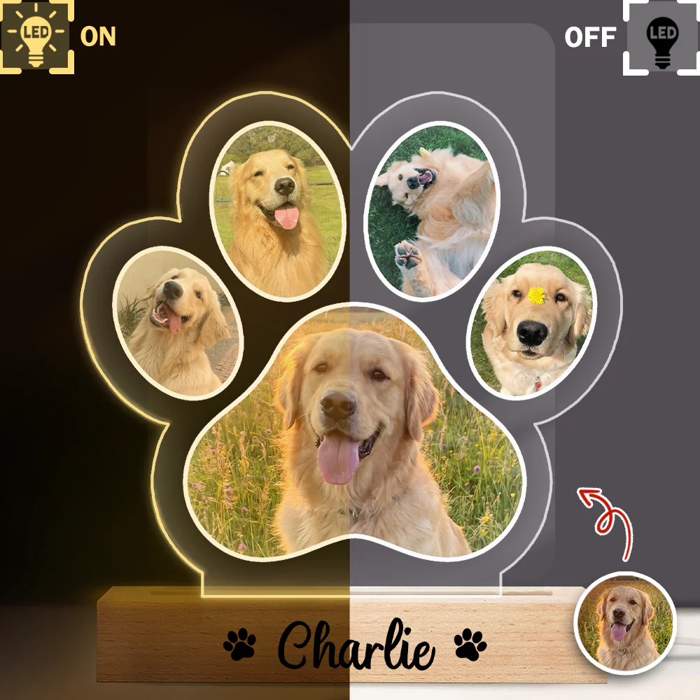 Custom Dog Photo And Name Memorial LED Night Light For Dog Lover TH10 170441 - Image 2