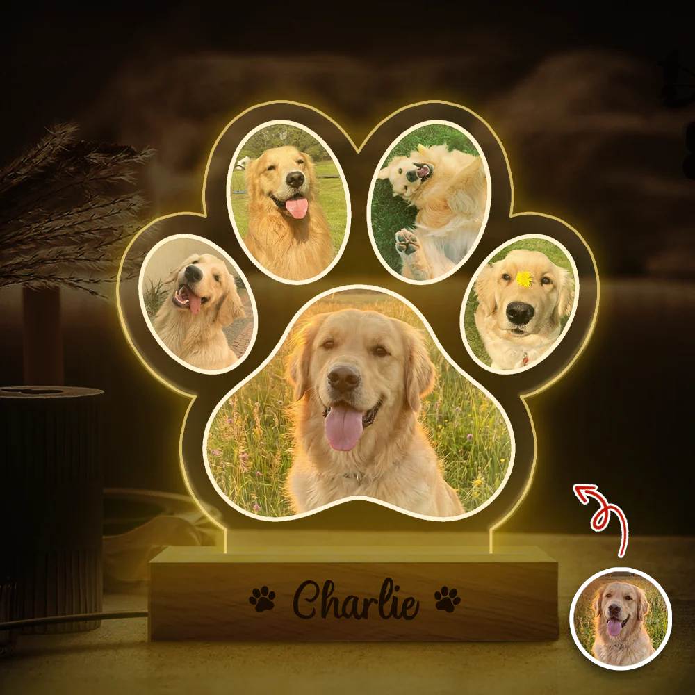 Custom Dog Photo And Name Memorial LED Night Light For Dog Lover TH10 170441 - Image 3