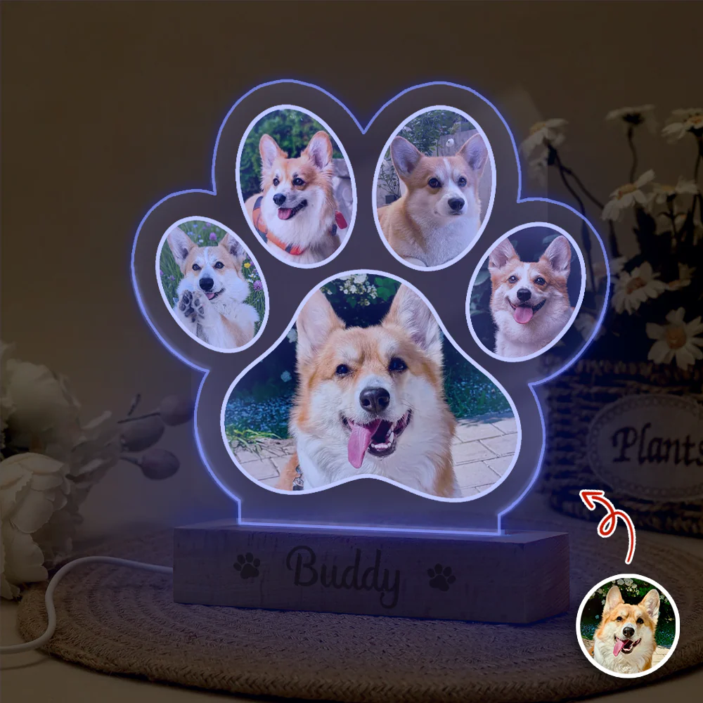Custom Dog Photo And Name Memorial LED Night Light For Dog Lover TH10 170441 - Image 4