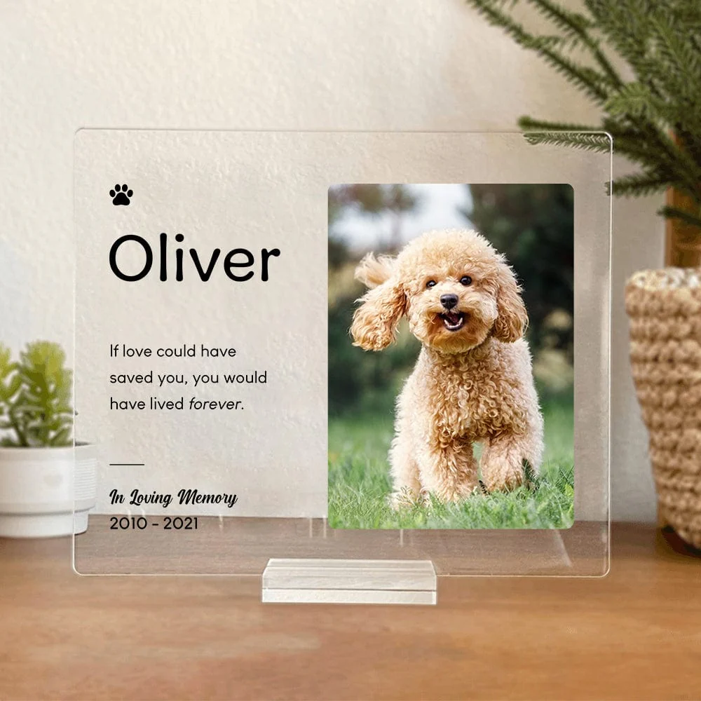 Custom Photo Because Someone We Loved In Heaven Memorial Acrylic Plaque and Stand DA199 890591 - Image 4