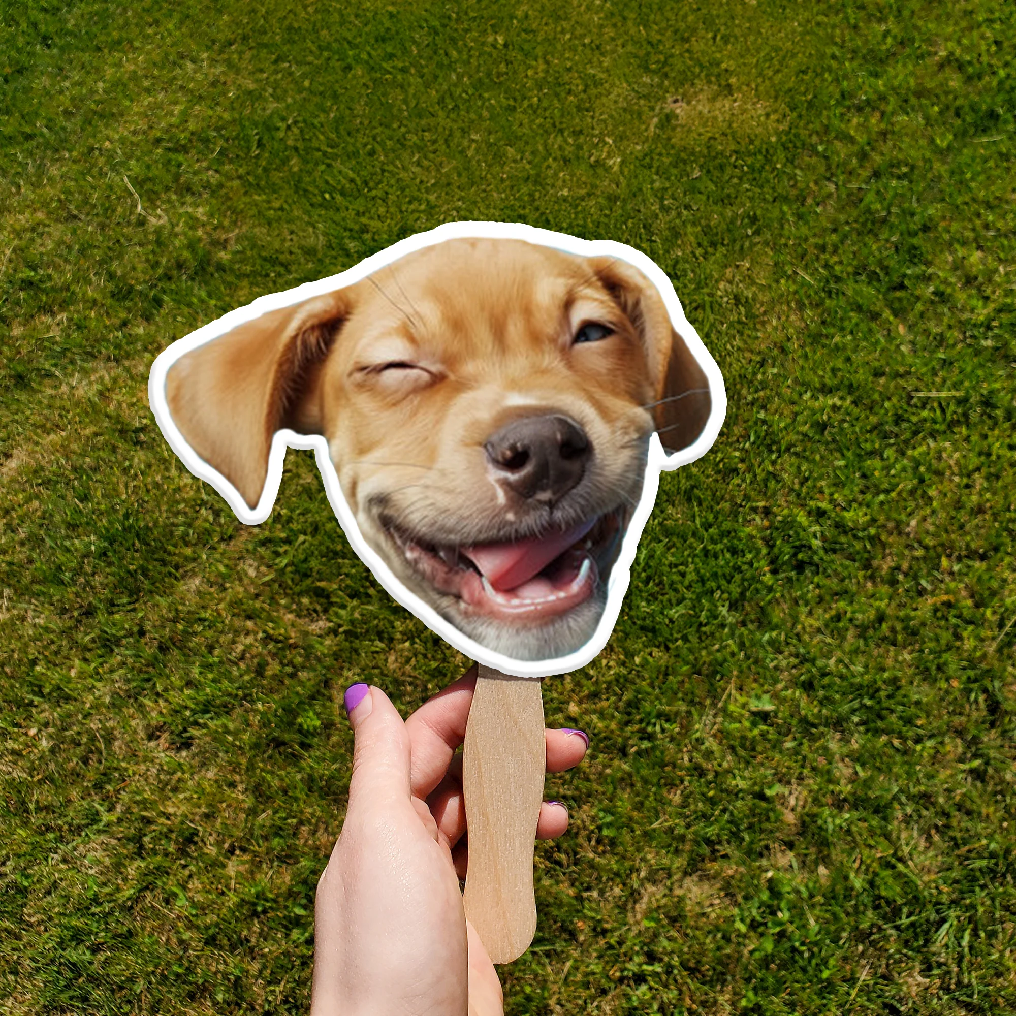 Custom Photo Funny Dog Cat Face Fan TH10 892545 - Image 5