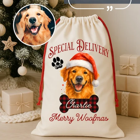 Custom Photo Speacial Delivery Christmas Gift Bag TH10 896979 - Image 2