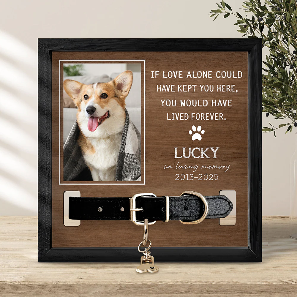 Custom Photo You Were My Favorite Hello And My Hardest Goodbye Memorial Square Collar Frame TH10 892651 - Image 2