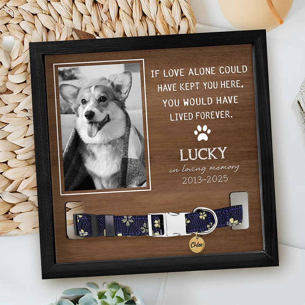Custom Photo You Were My Favorite Hello And My Hardest Goodbye Memorial Square Collar Frame TH10 892651 - Image 3