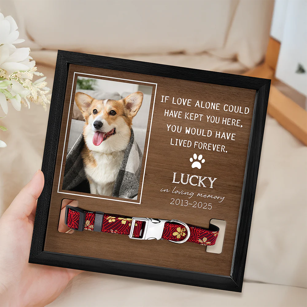 Custom Photo You Were My Favorite Hello And My Hardest Goodbye Memorial Square Collar Frame TH10 892651 - Image 5