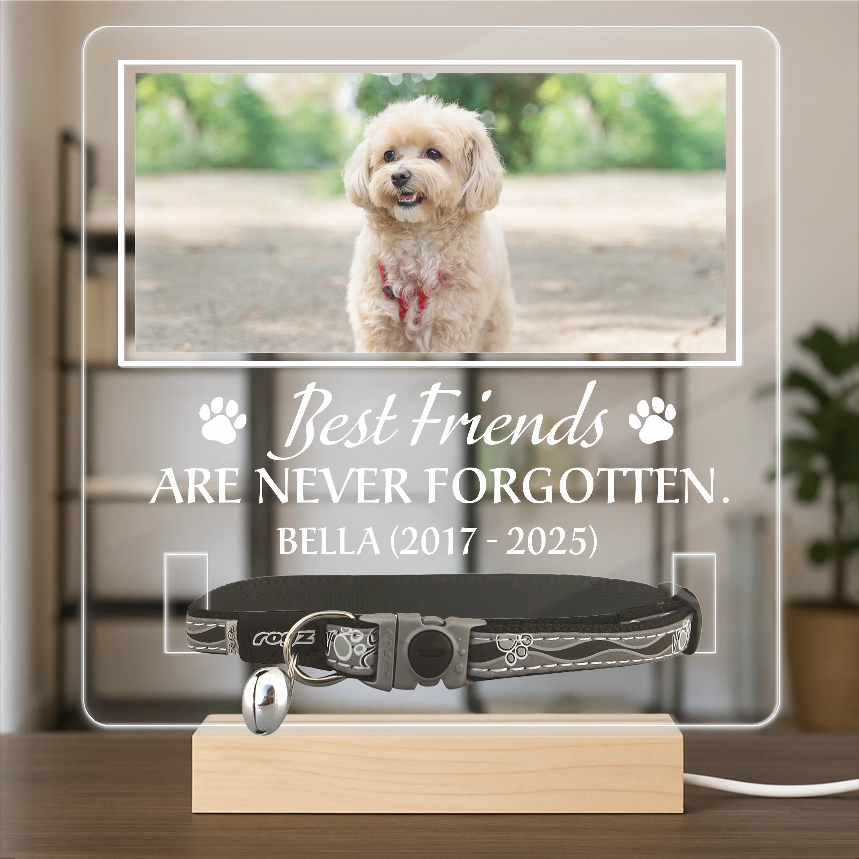 Custom Photo You Were My Favorite Hello Memorial Acrylic Collar Frame TH10 894095 - Image 5