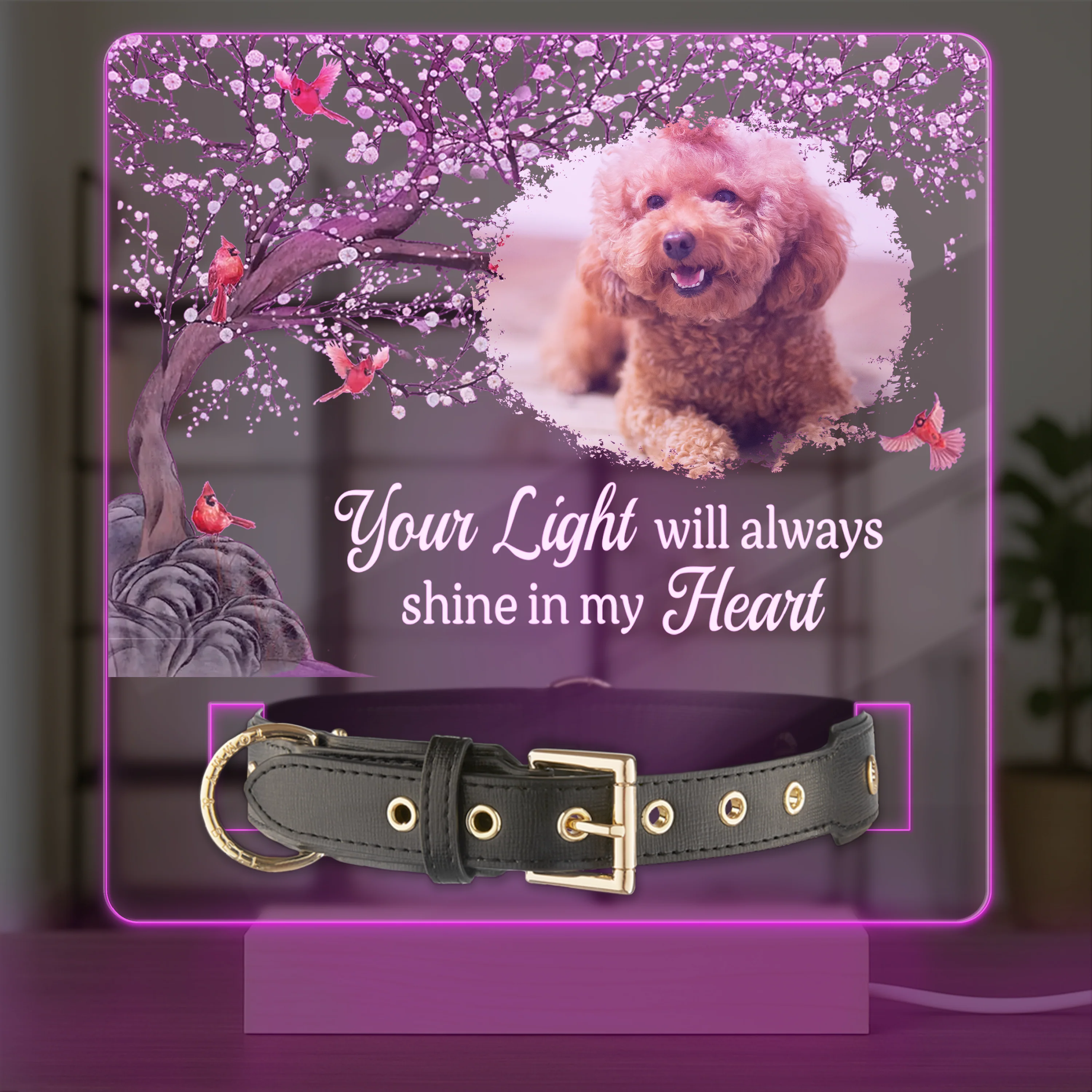Custom Photo Your Light Will Always Shine In My Heart Memorial Acrylic Collar Frame TH10 894093 - Image 10