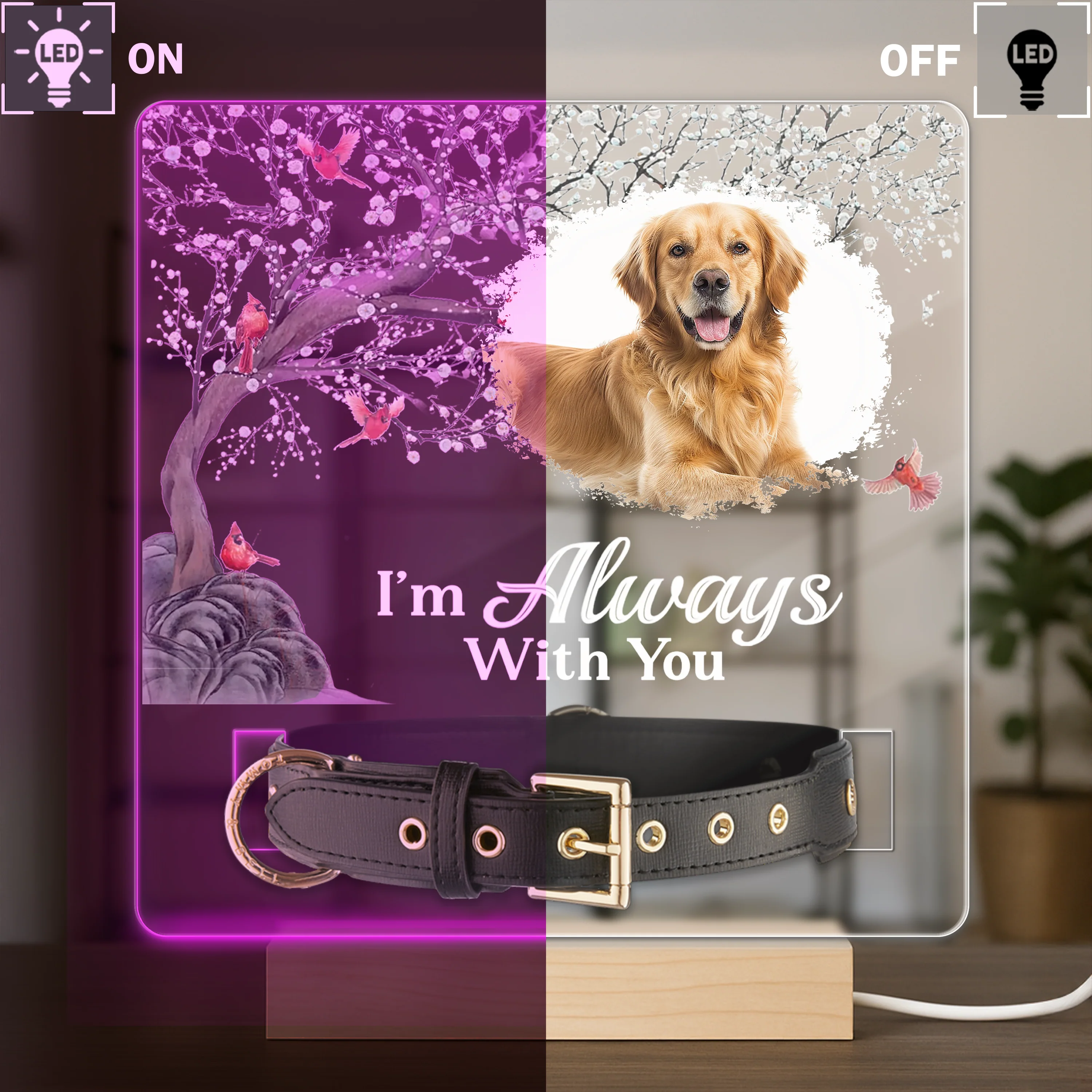 Custom Photo Your Light Will Always Shine In My Heart Memorial Acrylic Collar Frame TH10 894093 - Image 7