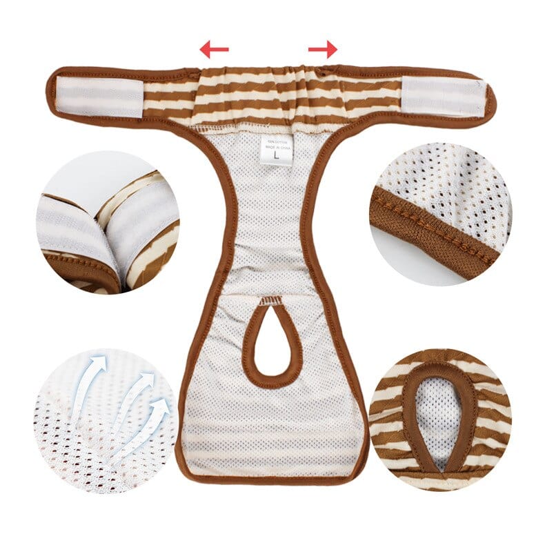 Female Dog Shorts Panties Menstruation Underwear - Image 9