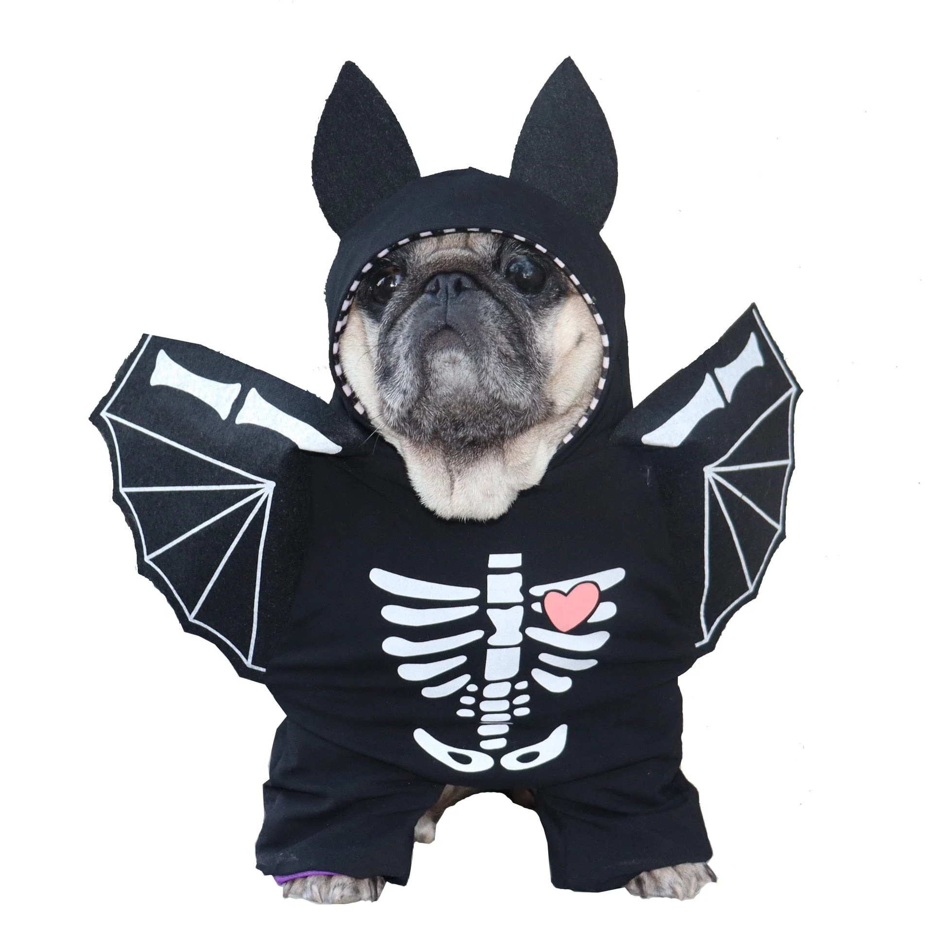 Funny Halloween Clothes Dressing Up Cat Party Costume Suit - Image 11