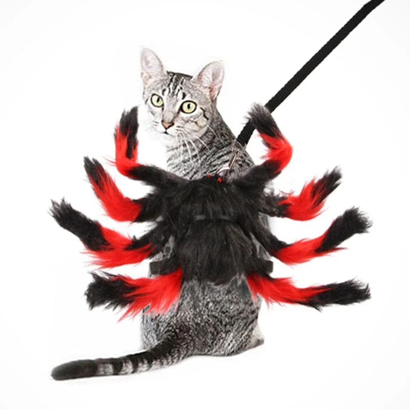 Halloween Pet Spider Cosplay Costume For Dogs Cats