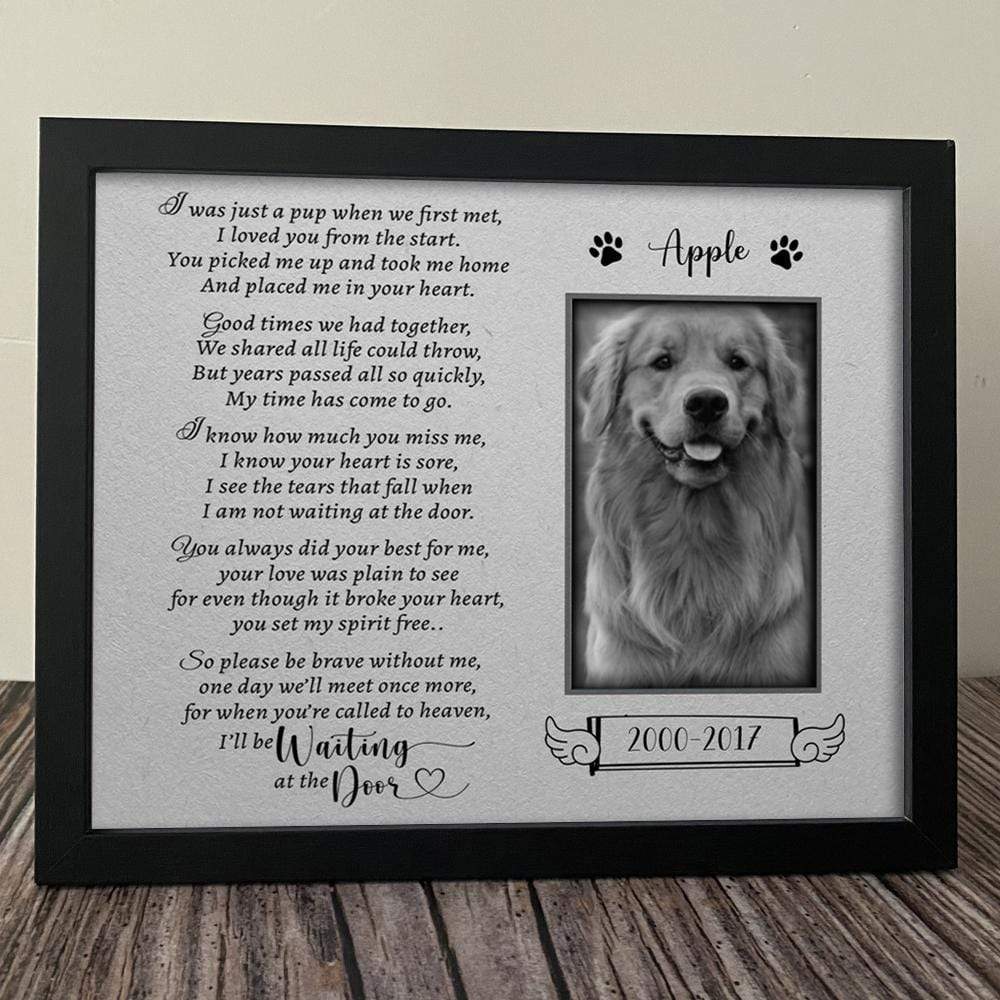 I Was Just A Pup When We First Met Dog Picture Frame 892381