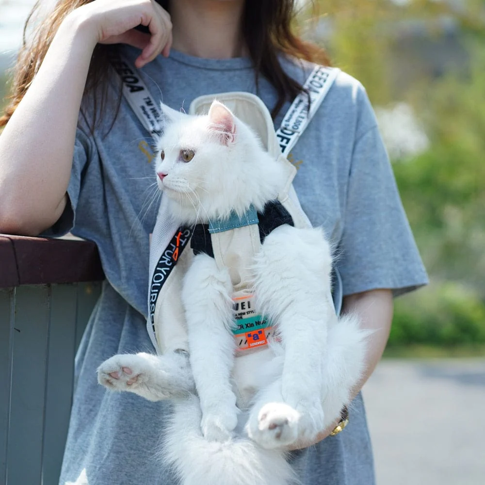 HOOPET Carrier for Dogs Pet Dog Carrier Backpack Mesh Outdoor Travel Products Breathable Shoulder Handle Bags for Small Dog Cats - Image 20