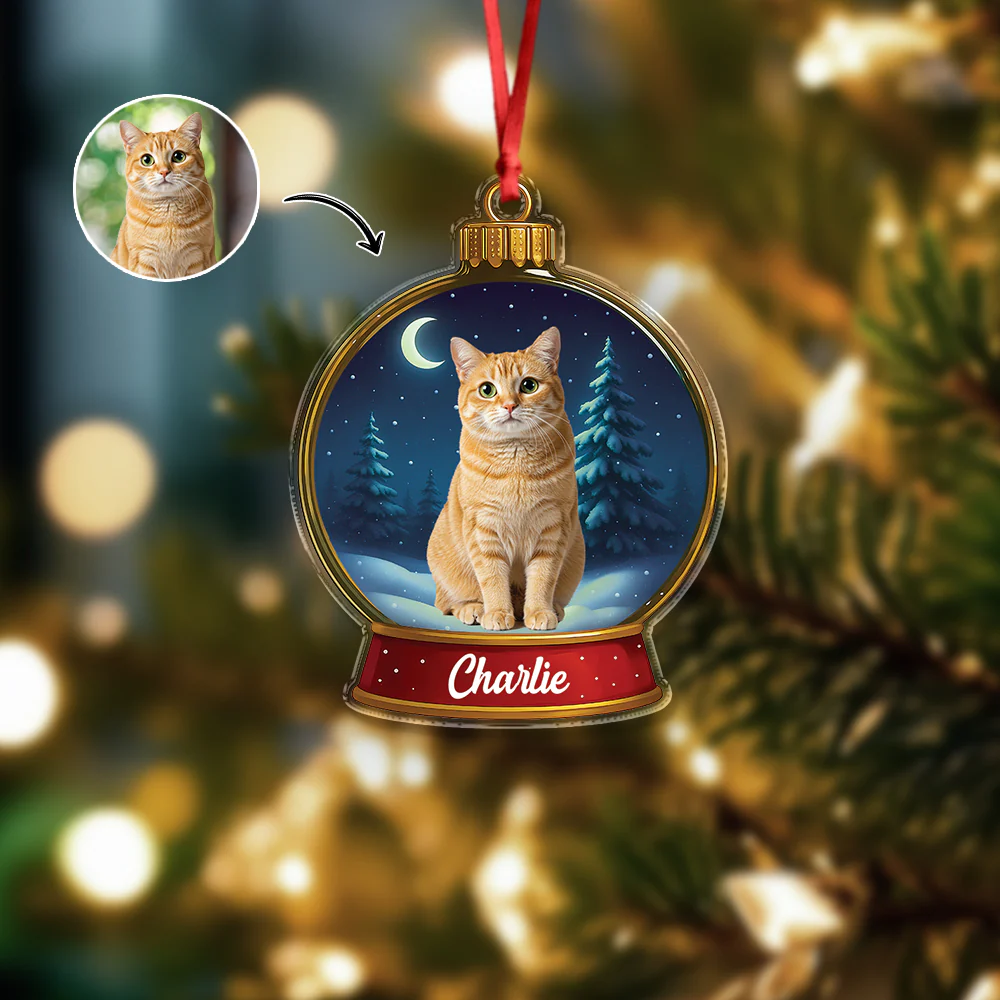 Custom Cat Photo Snow Globe With Name Acrylic Ornament Christmas Gift For Cat Lover CH07 896836 - Image 4