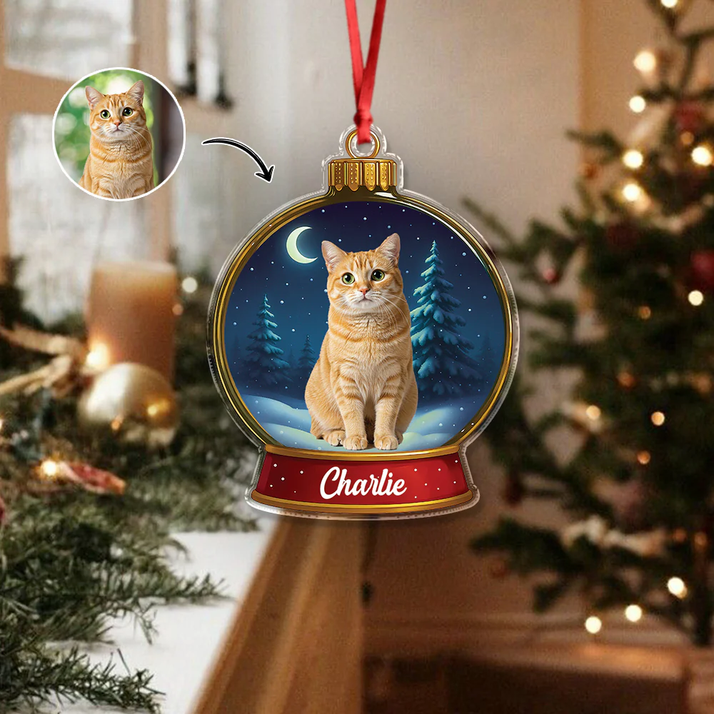 Custom Cat Photo Snow Globe With Name Acrylic Ornament Christmas Gift For Cat Lover CH07 896836 - Image 7