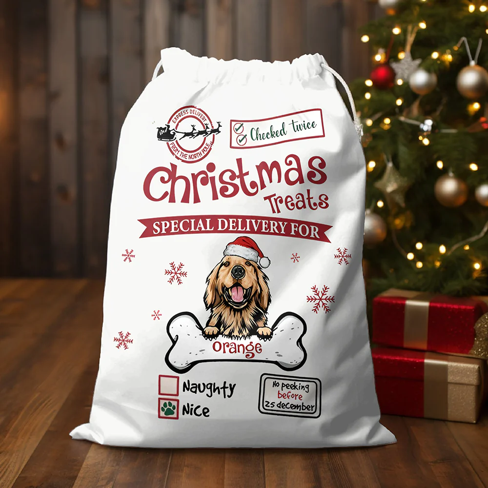 Christmas Treats Special Delivery For Dog Christmas Sack 896845 - Image 4