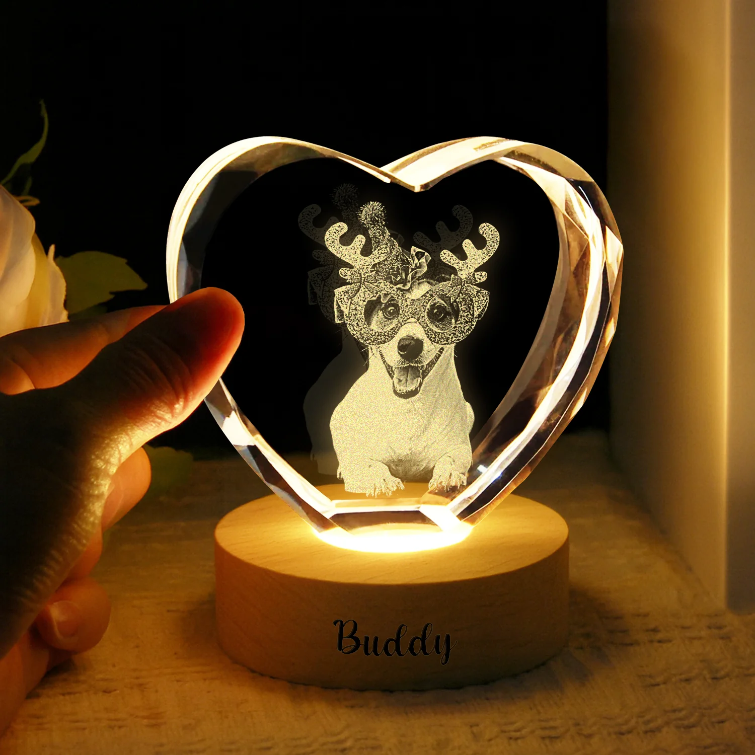 Custom Dog Cat Photo Engraved Crystal Photo With Light HA75 898202 - Image 11