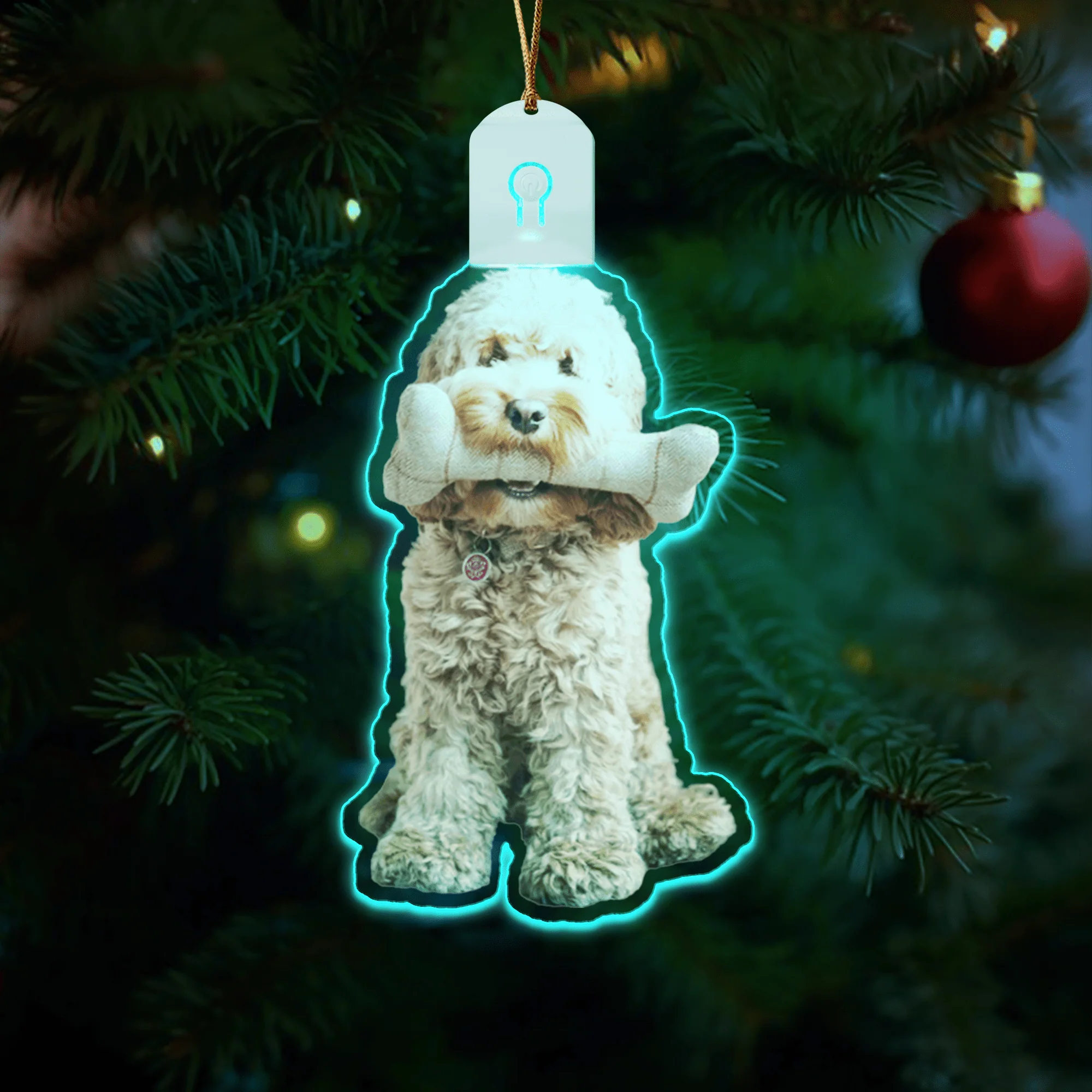 Custom Dog Photo Led Acrylic Ornament N304 HA75 891680 - Image 2