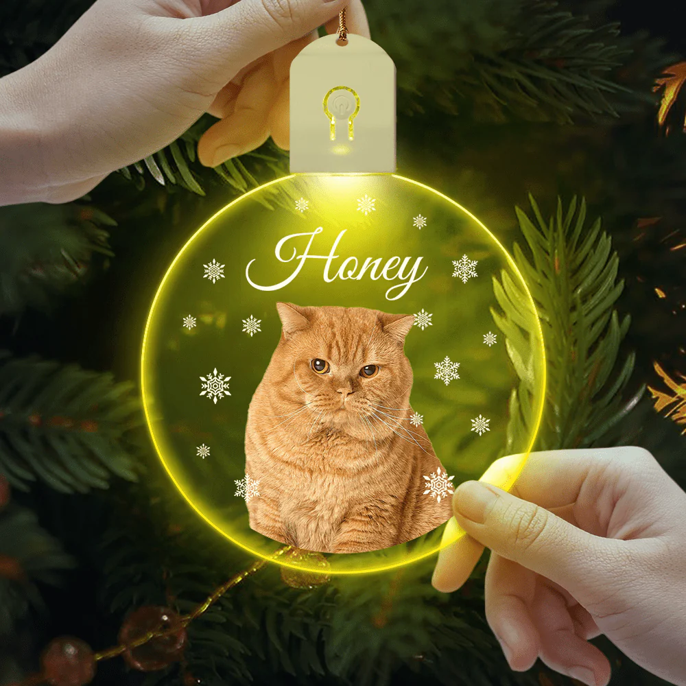 Custom Photo Cat Circle Led Acrylic Ornament Christmas Gift For Cat Lovers HA75 891650