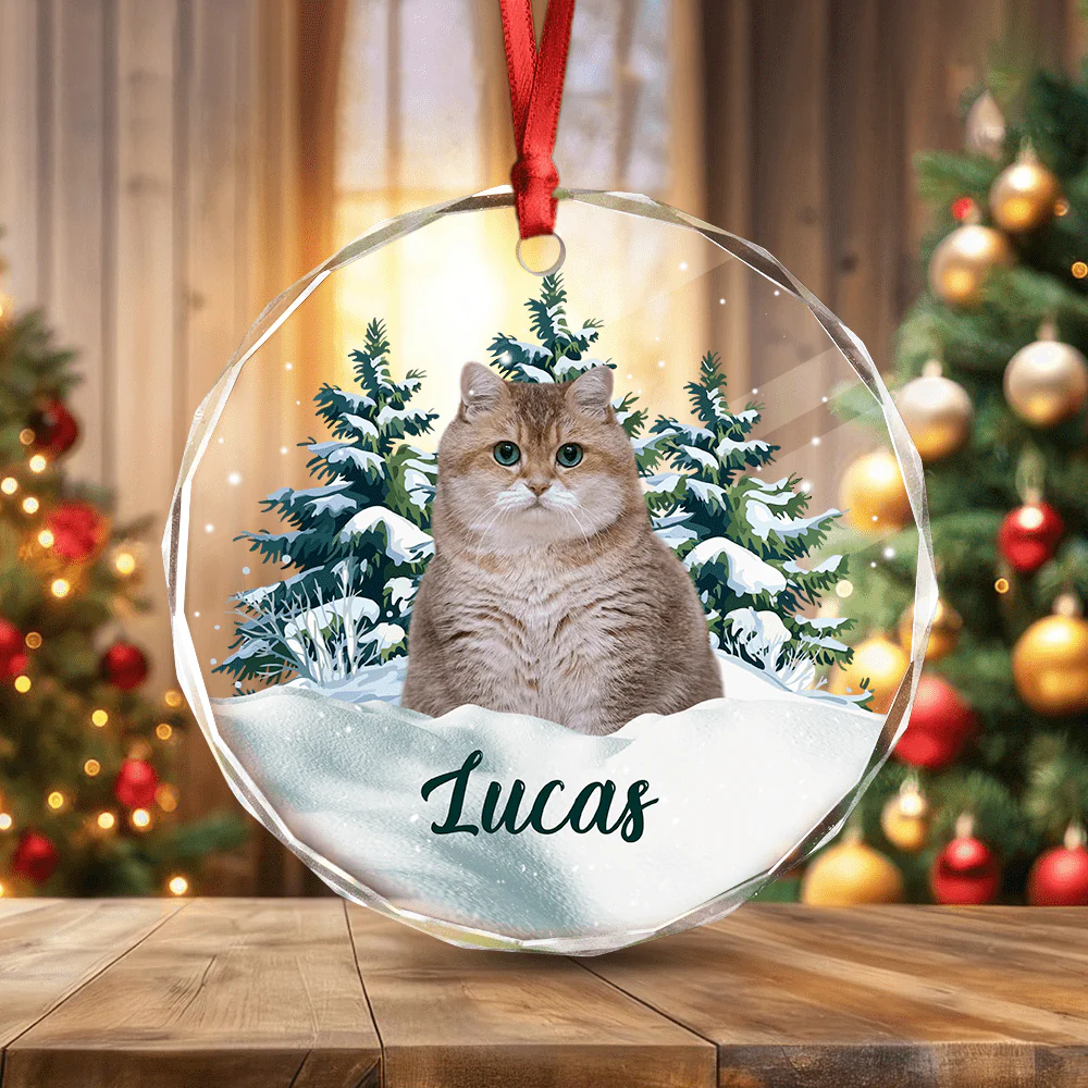 Custom Photo Cat Glass Ornament Christmas Gift For Cat Lovers HA75 891624 - Image 2
