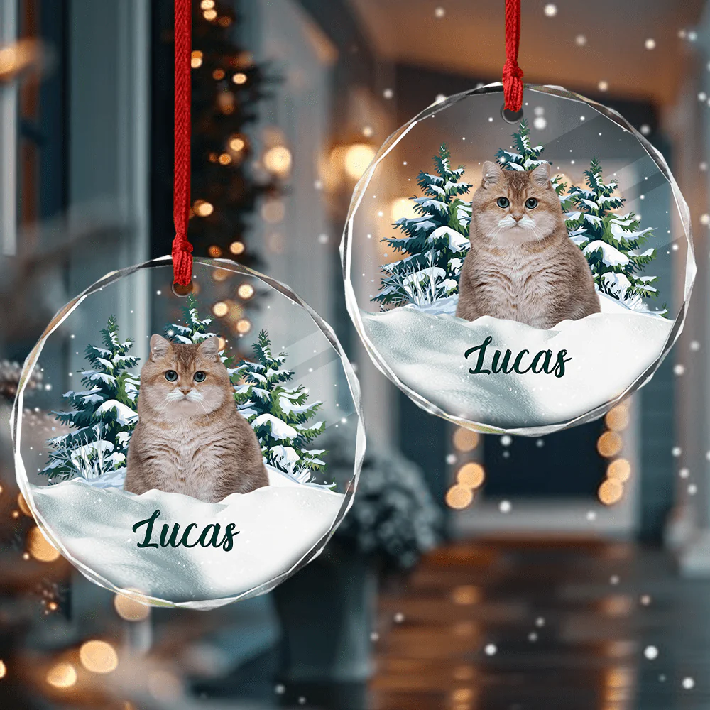 Custom Photo Cat Glass Ornament Christmas Gift For Cat Lovers HA75 891624 - Image 4