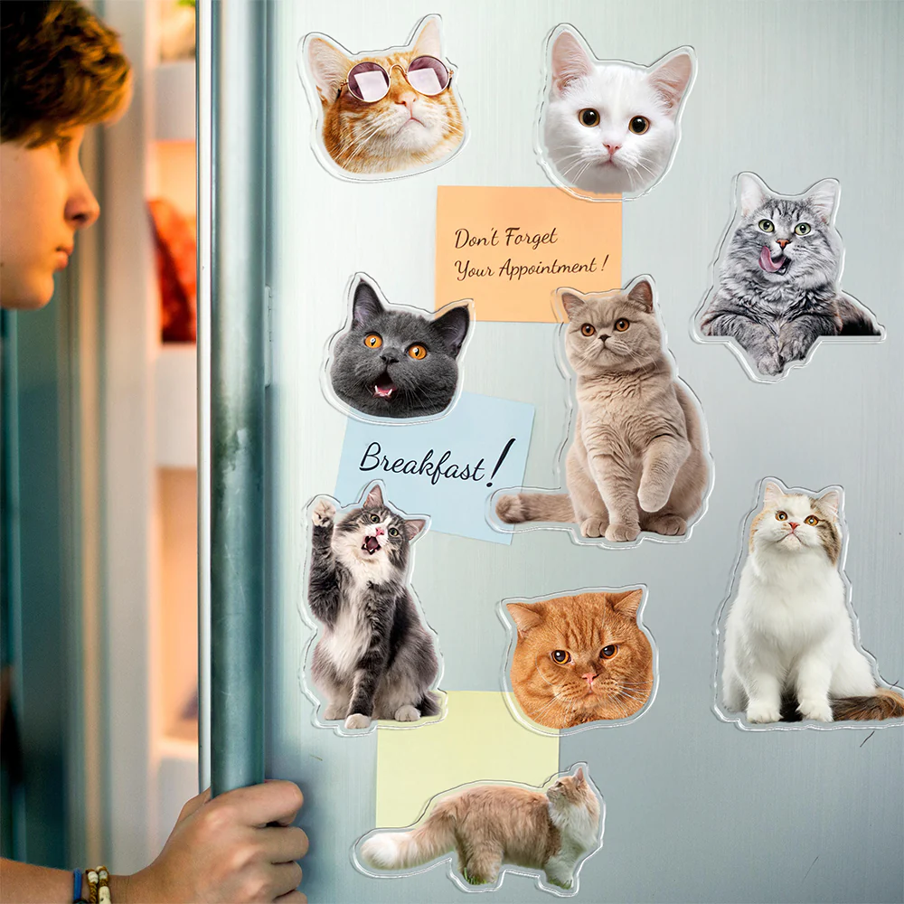 Custom Photo Cat Pet Personalized Acrylic Fridge Magnet For Cat Lovers HA75 897908 - Image 3