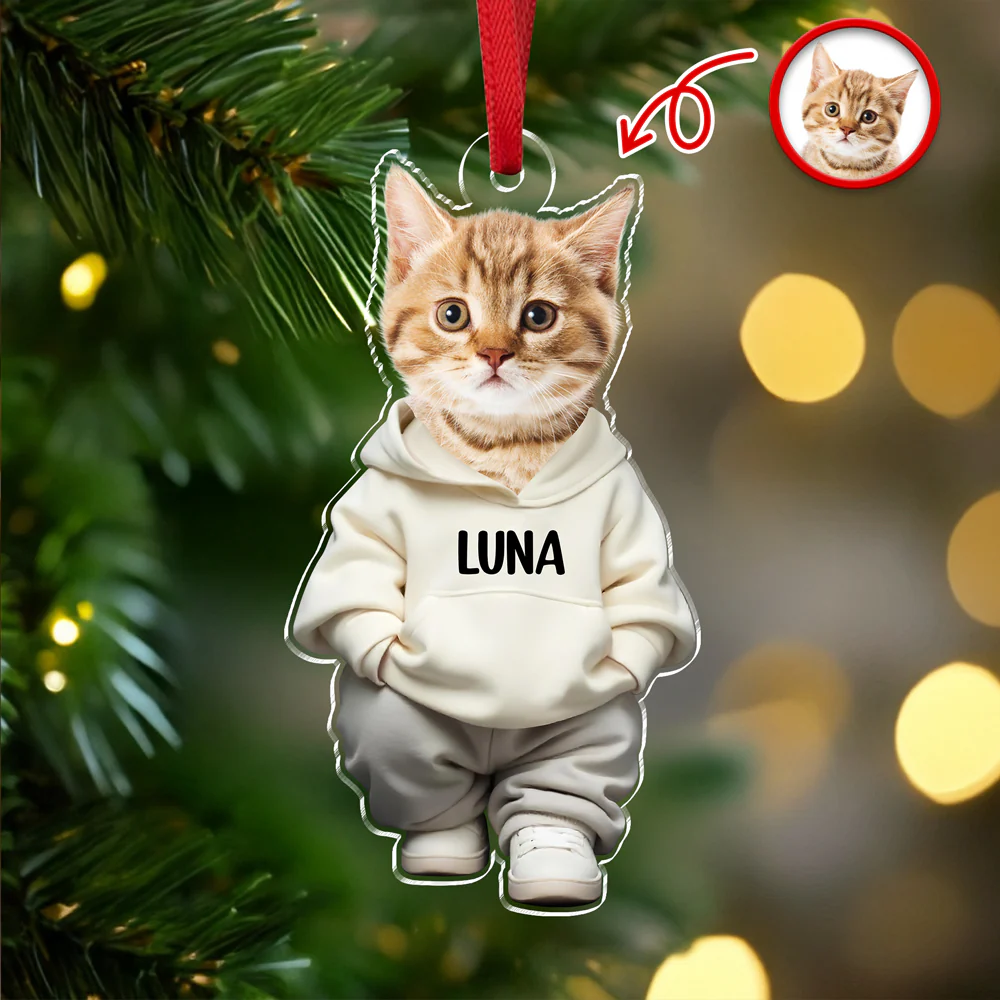 Custom Photo Cool Dog Cat Acrylic Ornament Gift For Dog Cat Lovers HA75 897146 - Image 2
